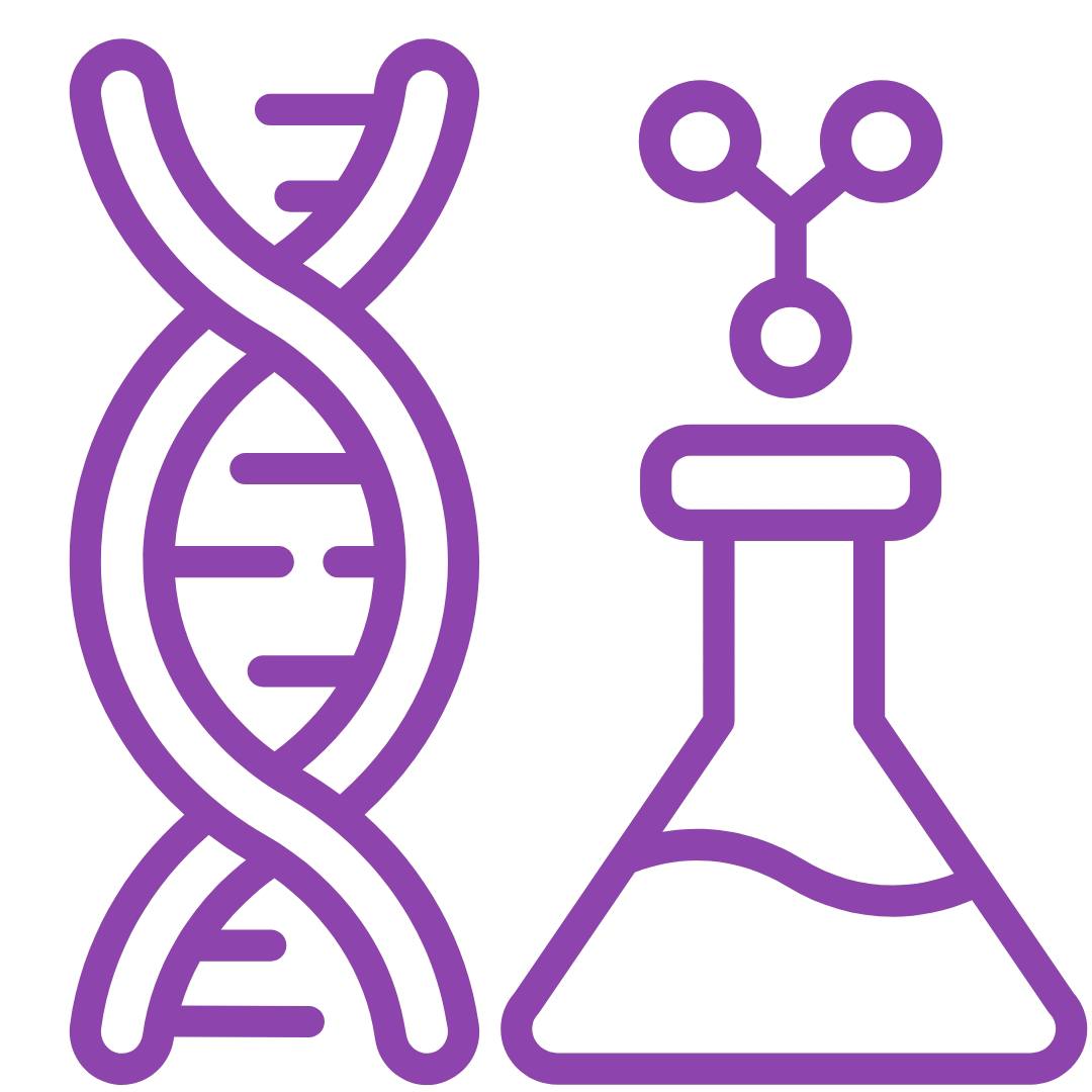 Business Transformation Icon